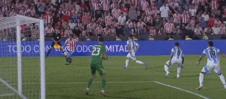 1731636061227697.gif 3.gif