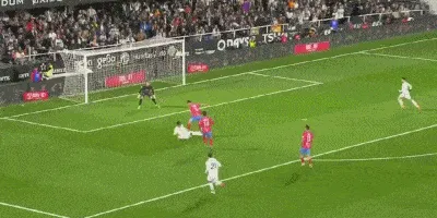 1736193585525920.gif 2.gif